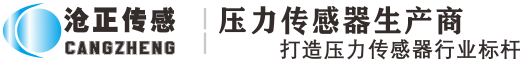 金湖凱銘儀表有限公司